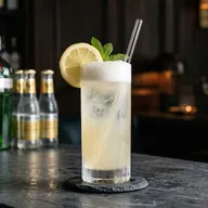 Gin Fizz